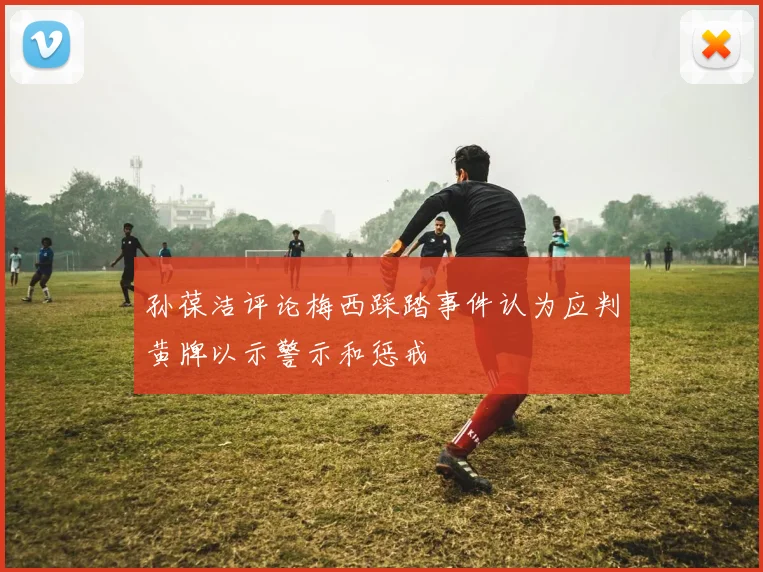 孙葆洁评论梅西踩踏事件认为应判黄牌以示警示和惩戒