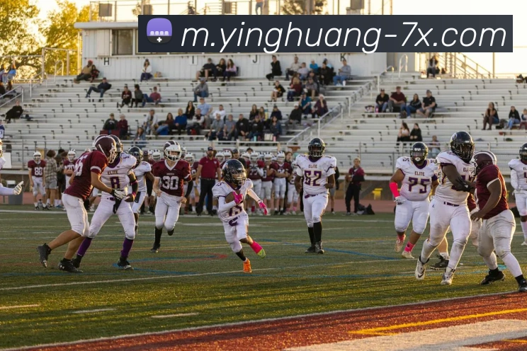 战术分析频道